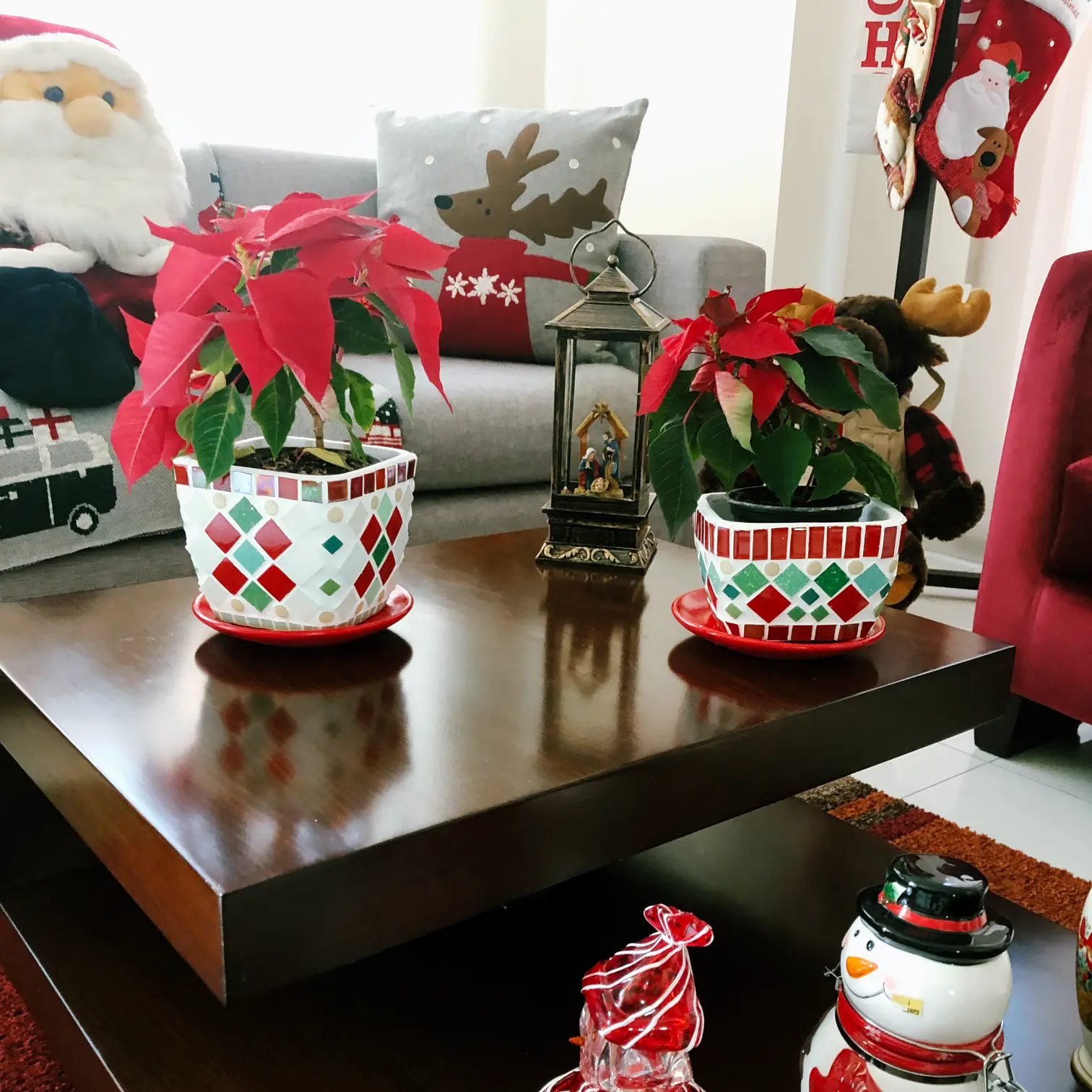 Materasnavidad 2@0.5x